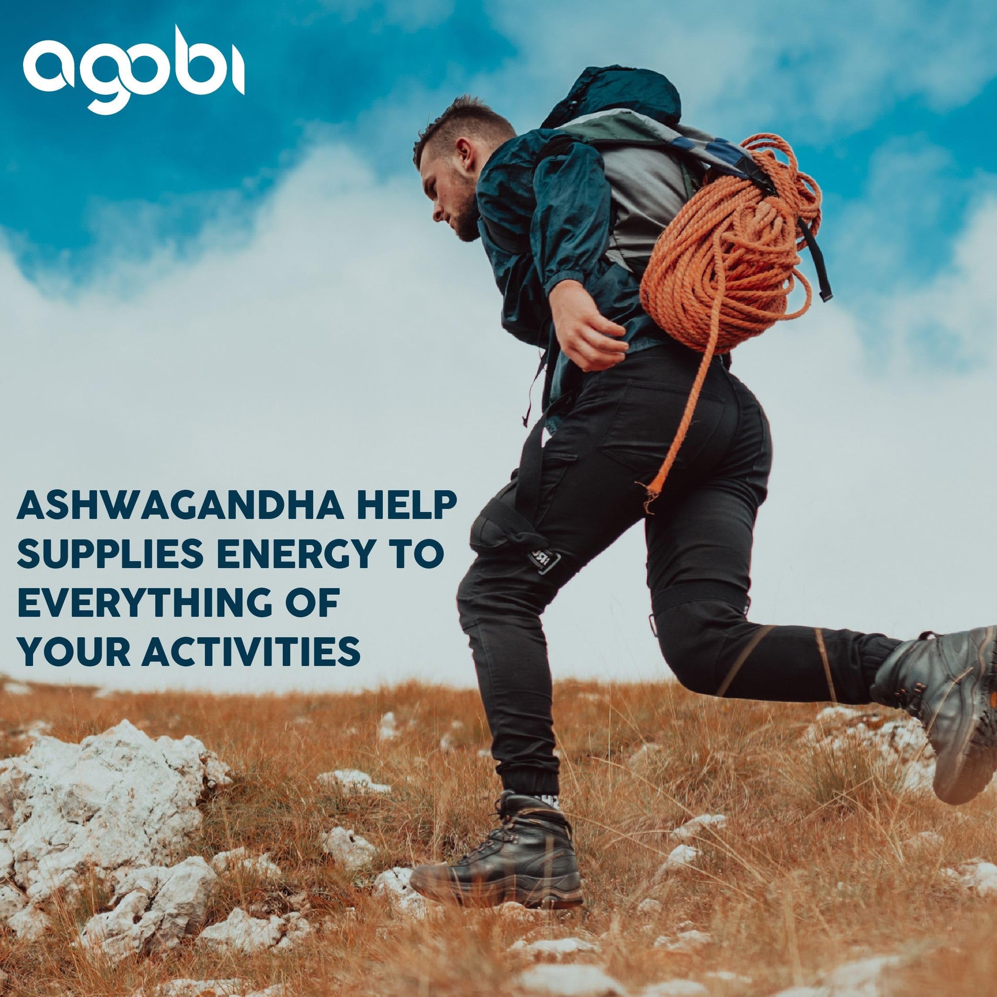 240 Capsules - 8 Month Supply - 7in1 with Fenugreek, Maca, Turmeric, Rhodiola, Ginger, and Black Pepper - Mood, Strength, Spirit and Energy Support Supplement - Medaid International