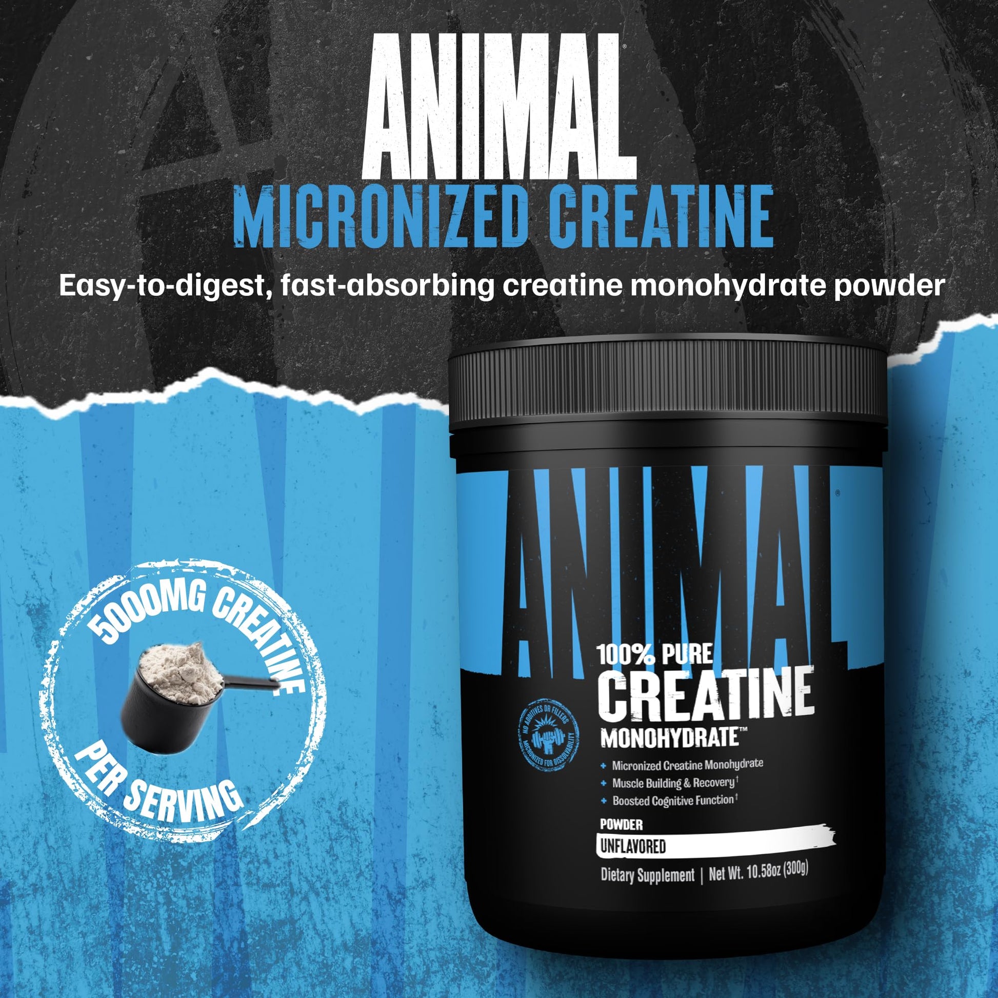 Animal Creatine Monohydrate Powder – Micronized Creatine for Women and Men, Supports Muscle Growth, Strength, Endurance, Recovery and ATP Production, Gym & Workout Supplements - Unflavored, 300g - Medaid International