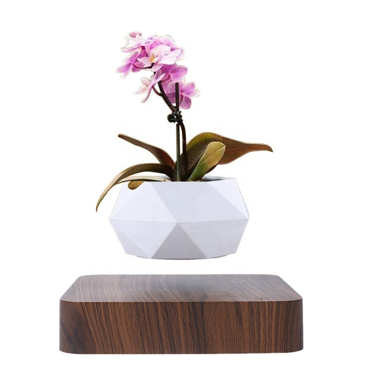 Floating Flower Pot