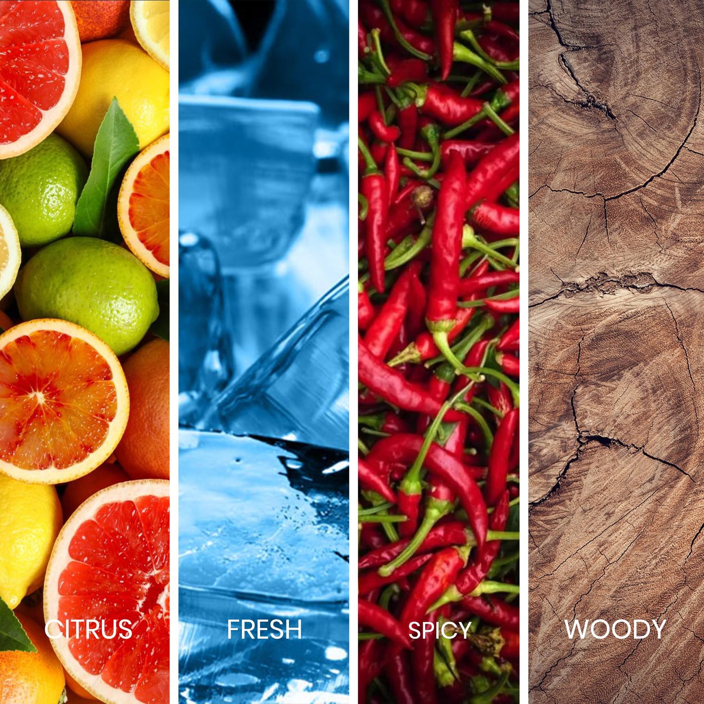 Sapil Solid Eau de Toilette for Men – Long-Lasting Dubai Toilette – Citrus, Woody, Musky & Warm Spicy Scent with Fresh & Powdery Notes – 3.4 Oz(100ml) –Premium Arabic Toilette for Daily & Evening Wear - Medaid International