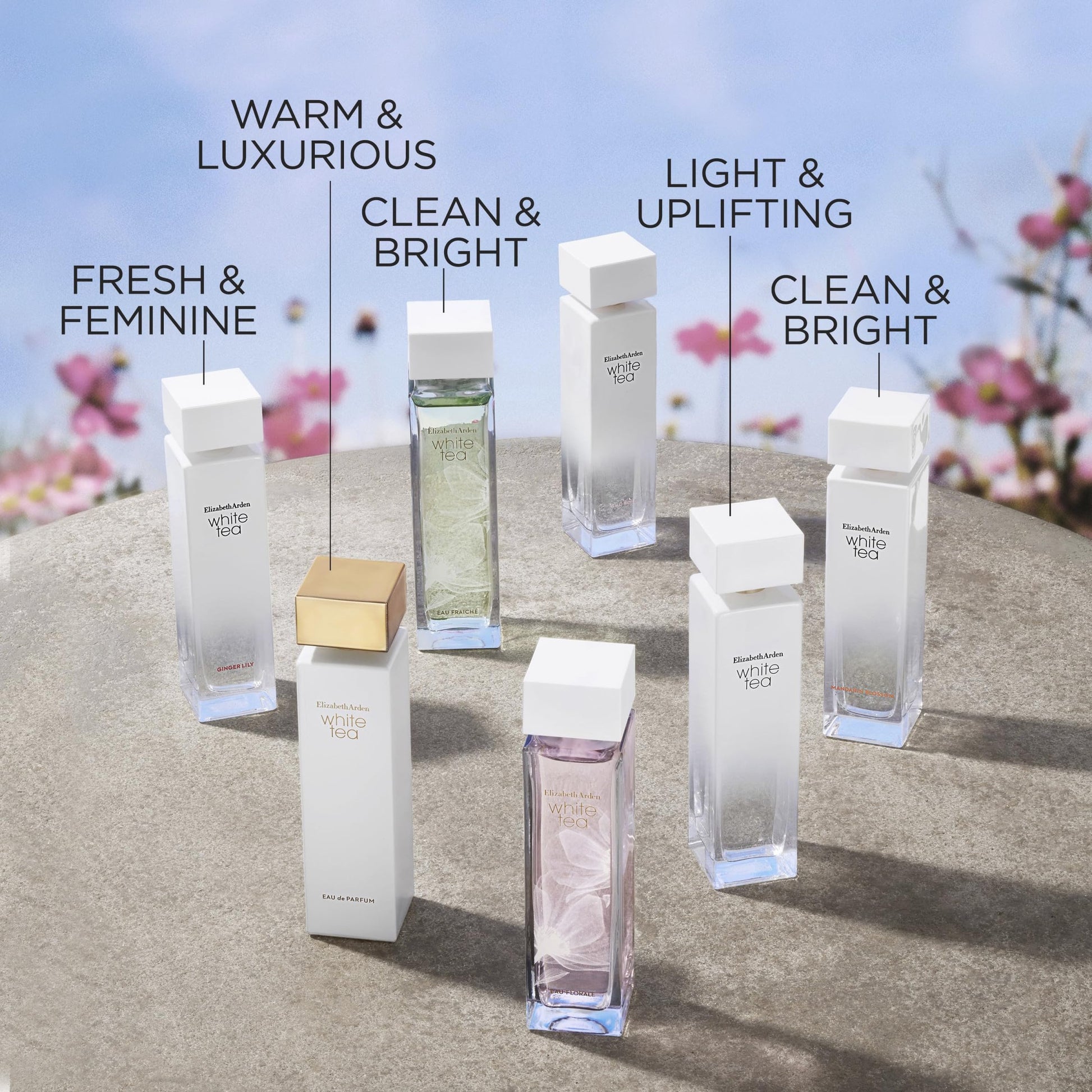 Elizabeth Arden White Tea Eau de Toilette Spray, Perfume for Women with Notes of Clary Sage, White Iris, Musk, Woody & Floral, 1 fl oz - Medaid International