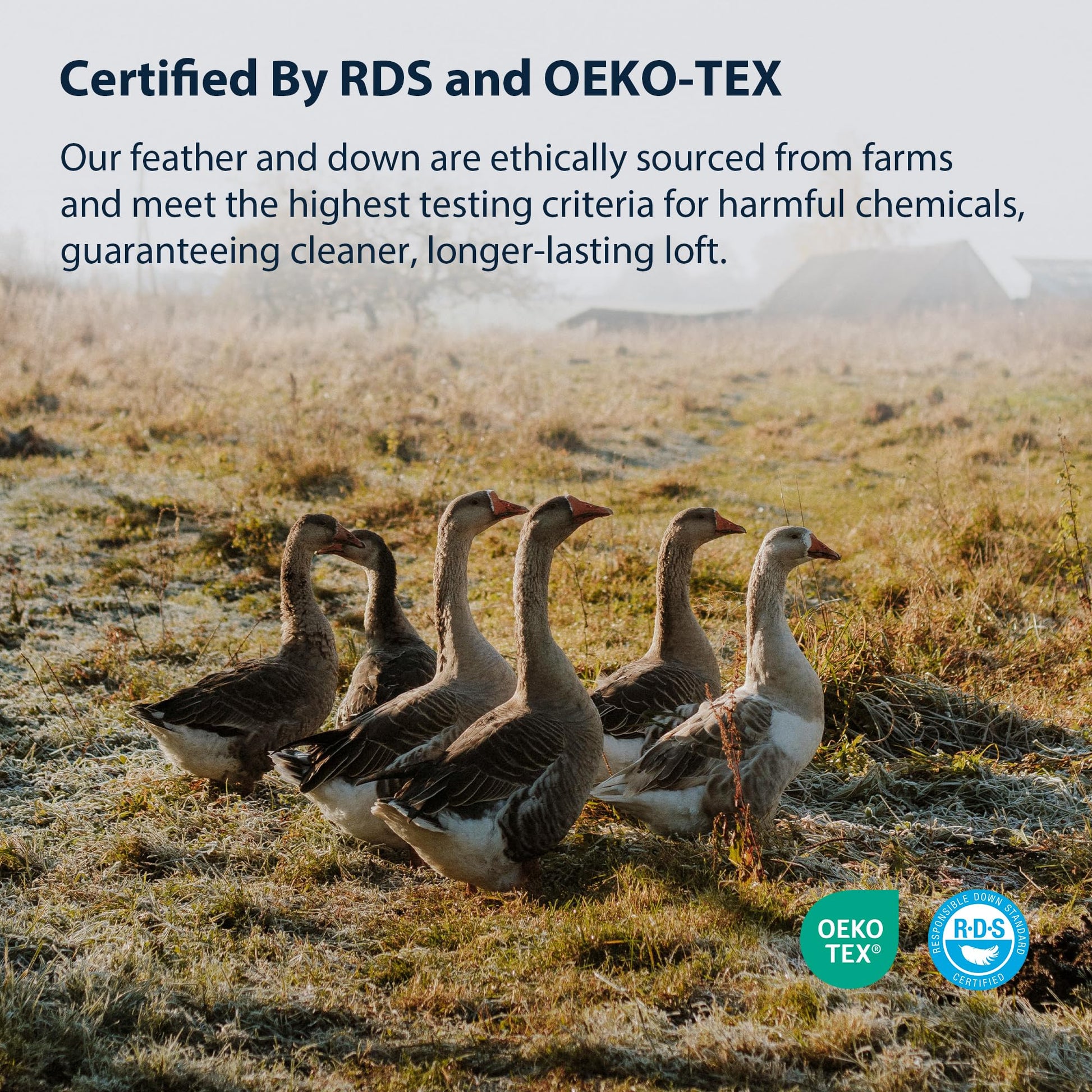 Pacific Coast Bed Pillow, Luxury Hotel Collection Goose Feather and Down Pillow for Sleeping with Classic Diamond Pattern, Medium Supportive, Standard Size 1 Pack - Medaid International