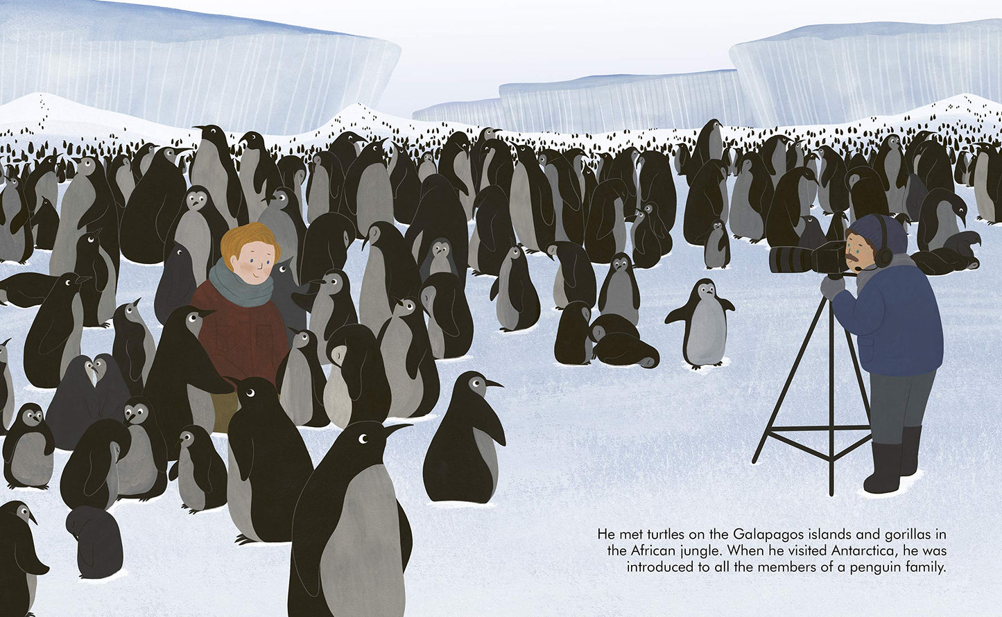 Little People, BIG DREAMS: Advent Calendar Book Collection: 2025 Edition - Medaid International