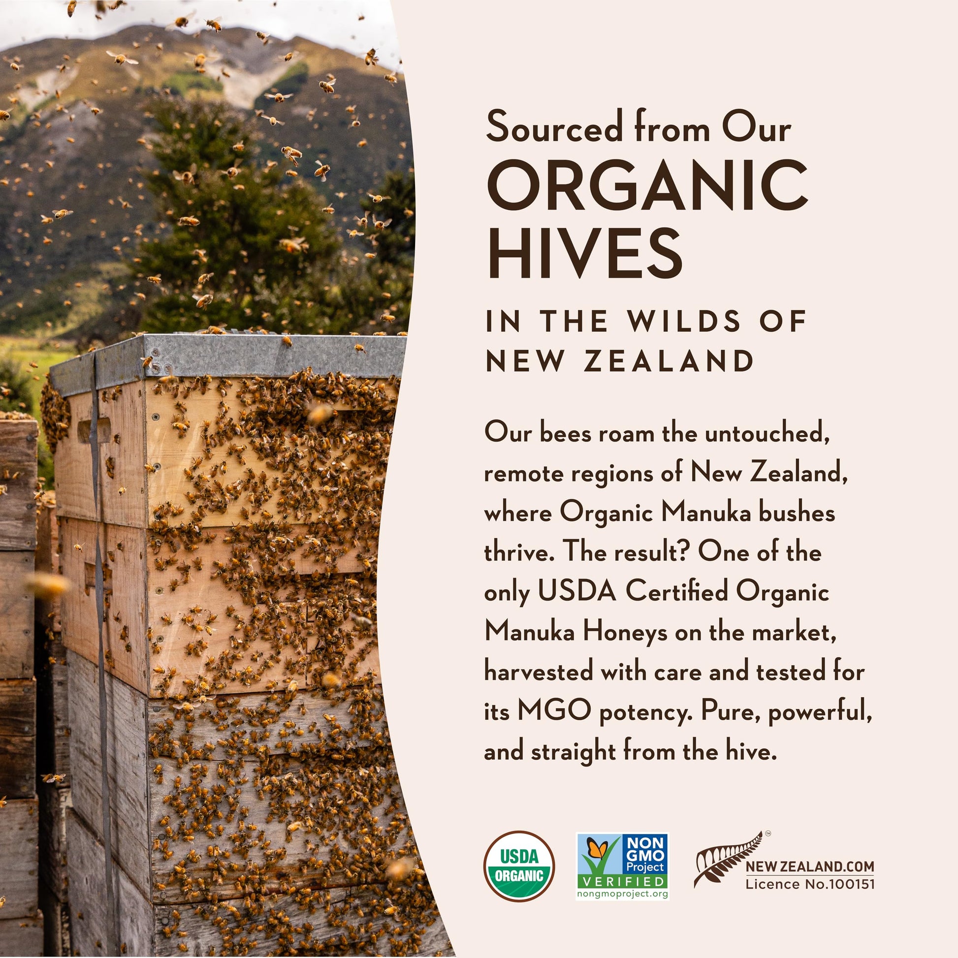 Wedderspoon Raw Premium USDA Certified Organic Manuka Honey, 50+ MGO, 8.8 Oz, Unpasteurized New Zealand Honey, From Our Hives to Your Home - Medaid International