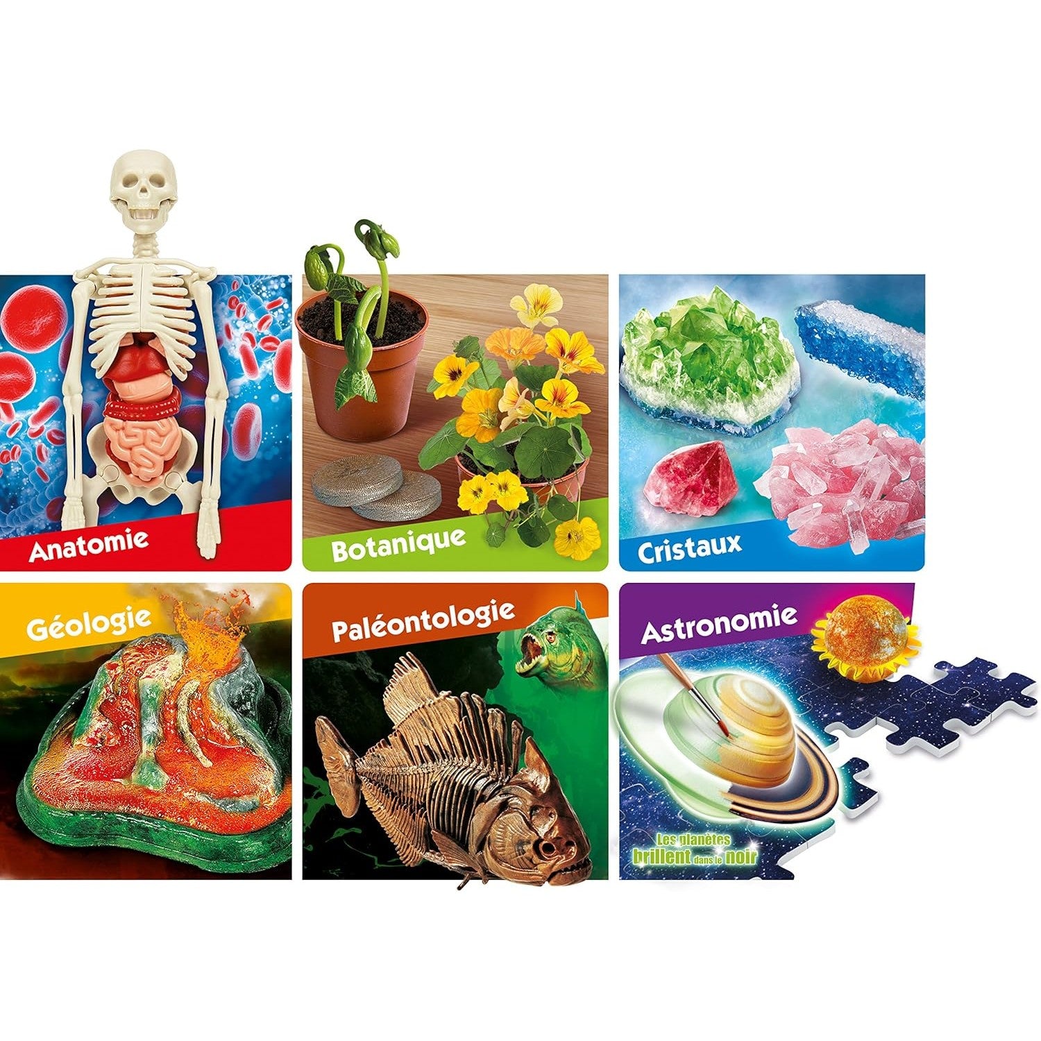 Science & Jeu Laboratoire - Le Grand Coffret Du Scientifique  - FR - Medaid International