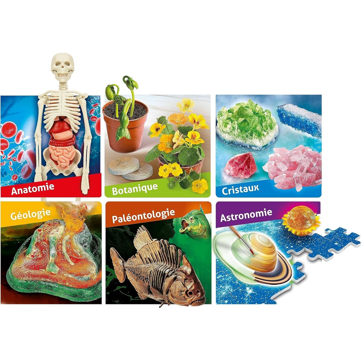 Science & Jeu Laboratoire - Le Grand Coffret Du Scientifique  - FR - Medaid International