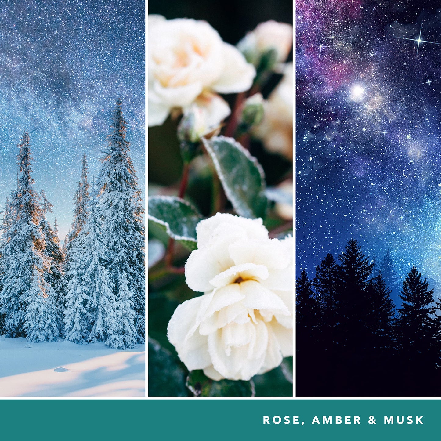 Yankee Candle Signature Scented Candle | Winter Night Stars Large Jar Candle with Double Wicks | Soy Wax Blend Long Burning Candle - Medaid International