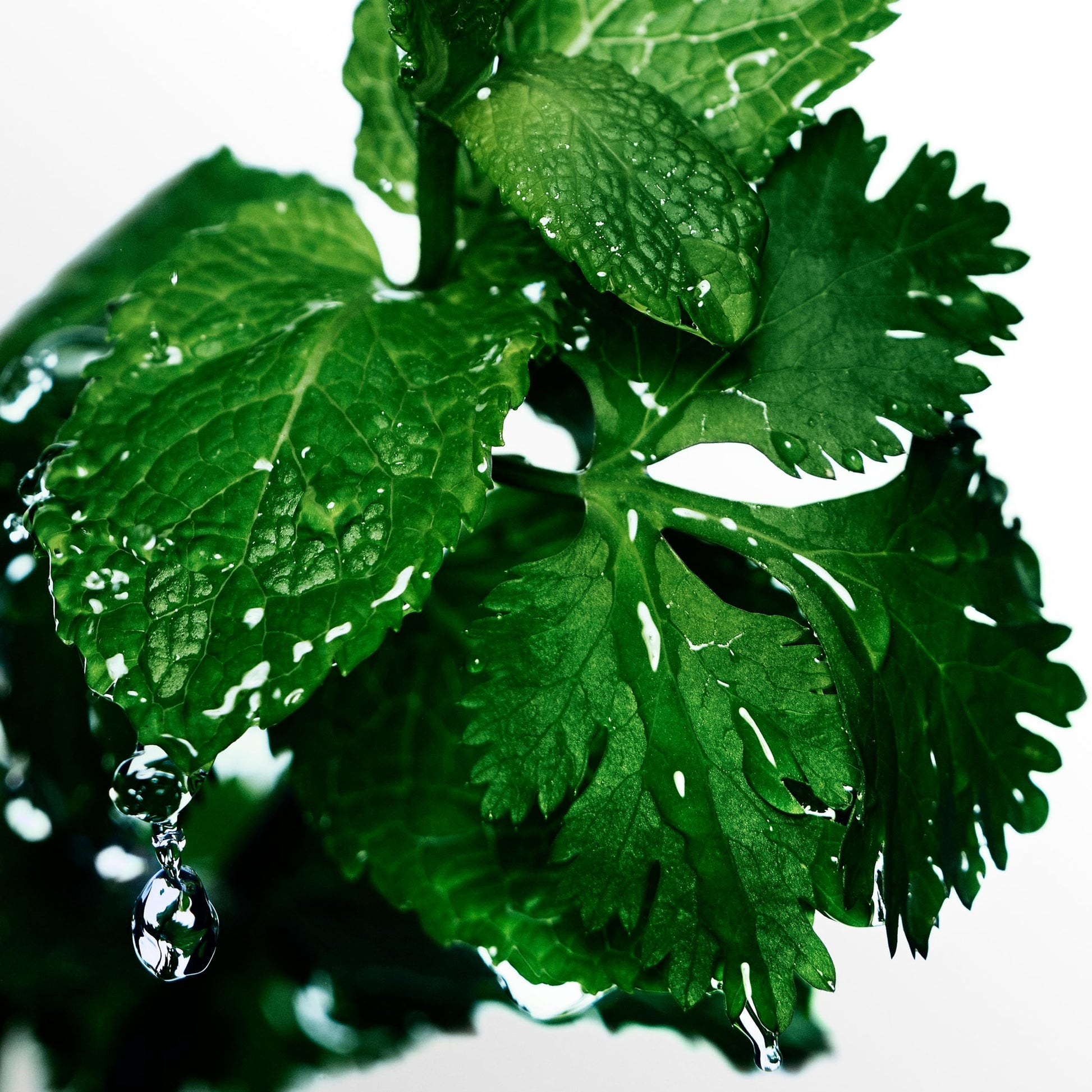 Davidoff Cool Water Edt Spray for Men, 2.5 Fl oz - Medaid International