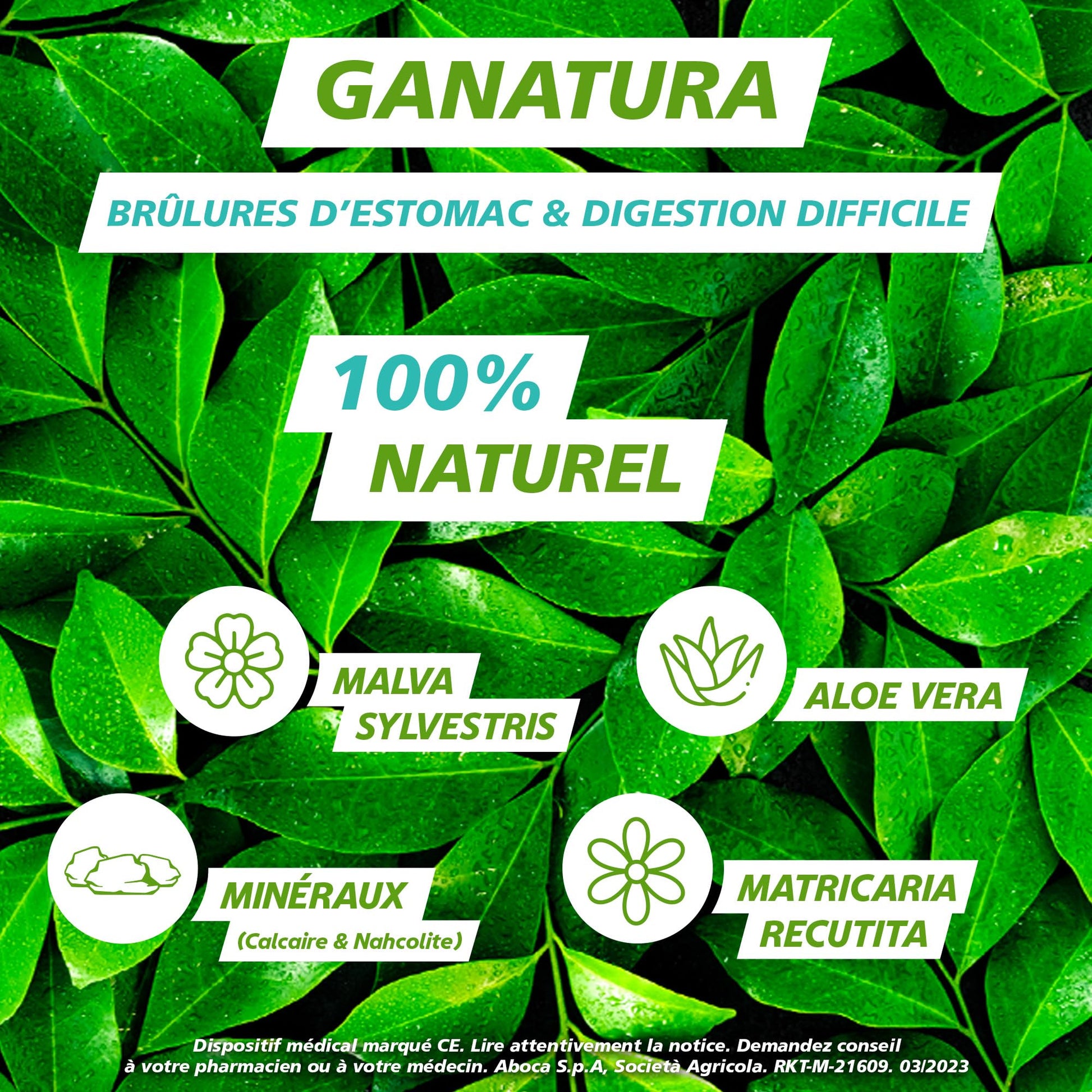 GANatura - 100% Naturel - Brûlures d'estomac et digestion difficile - 14 Sachets - Format Pratique - Medaid International