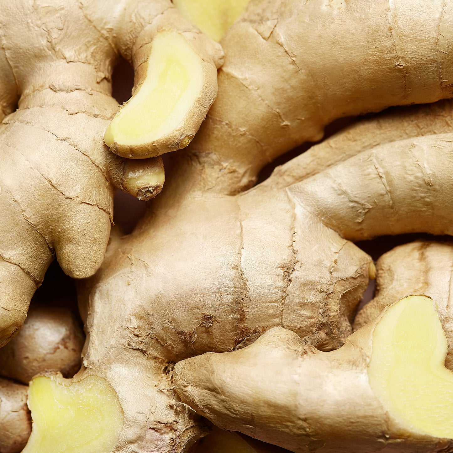 Escada Celebrate Now Eau de Parfum 2.7 fl oz - Medaid International