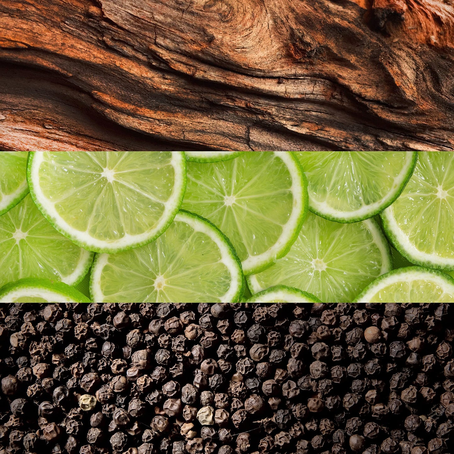 LACOSTE ESSENTIAL EDT 75ML - Medaid International