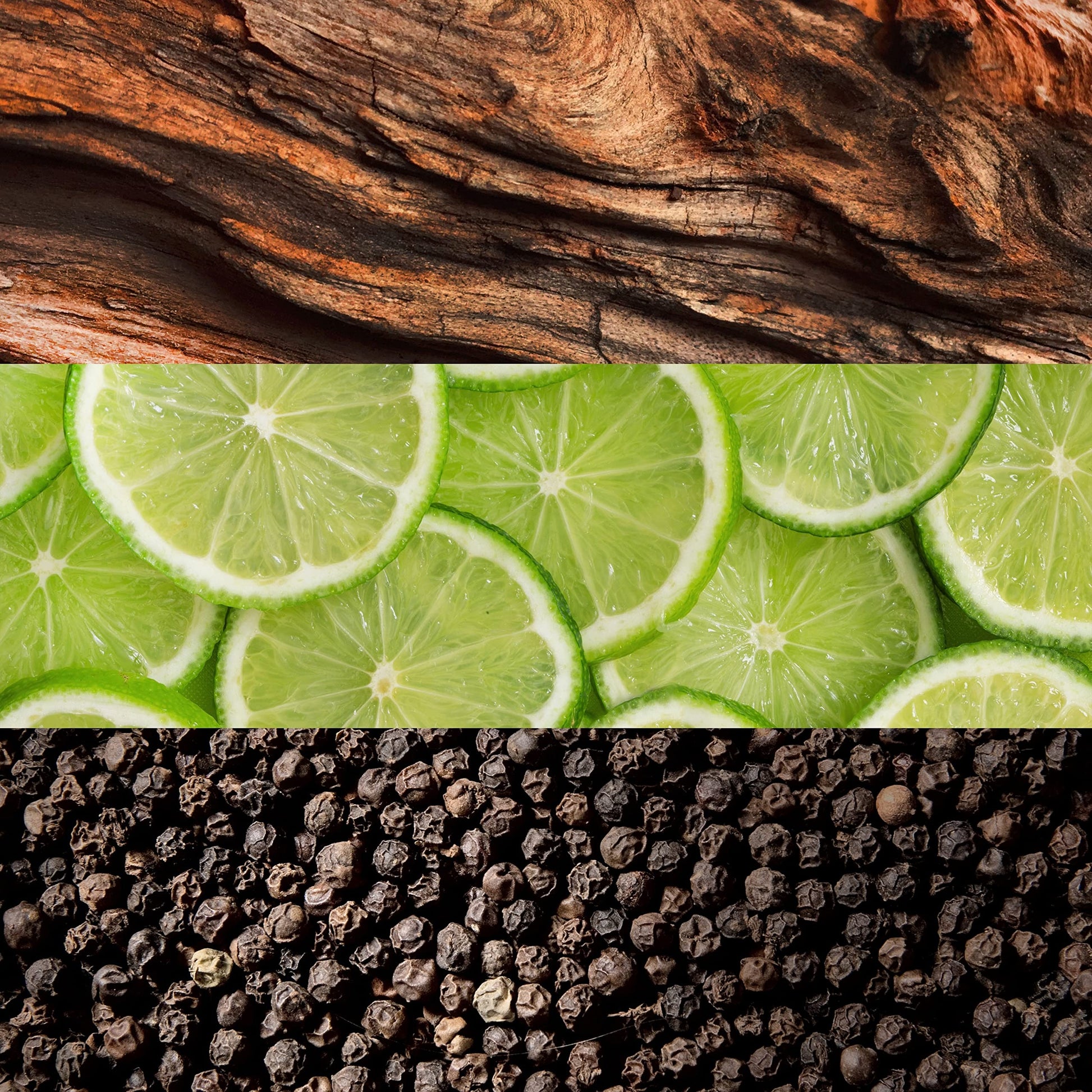 LACOSTE ESSENTIAL EDT 75ML - Medaid International