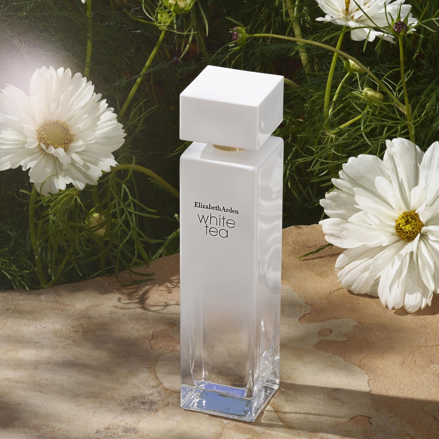 Elizabeth Arden White Tea Eau de Toilette Spray, Perfume for Women with Notes of Clary Sage, White Iris, Musk, Woody & Floral, 1 fl oz - Medaid International