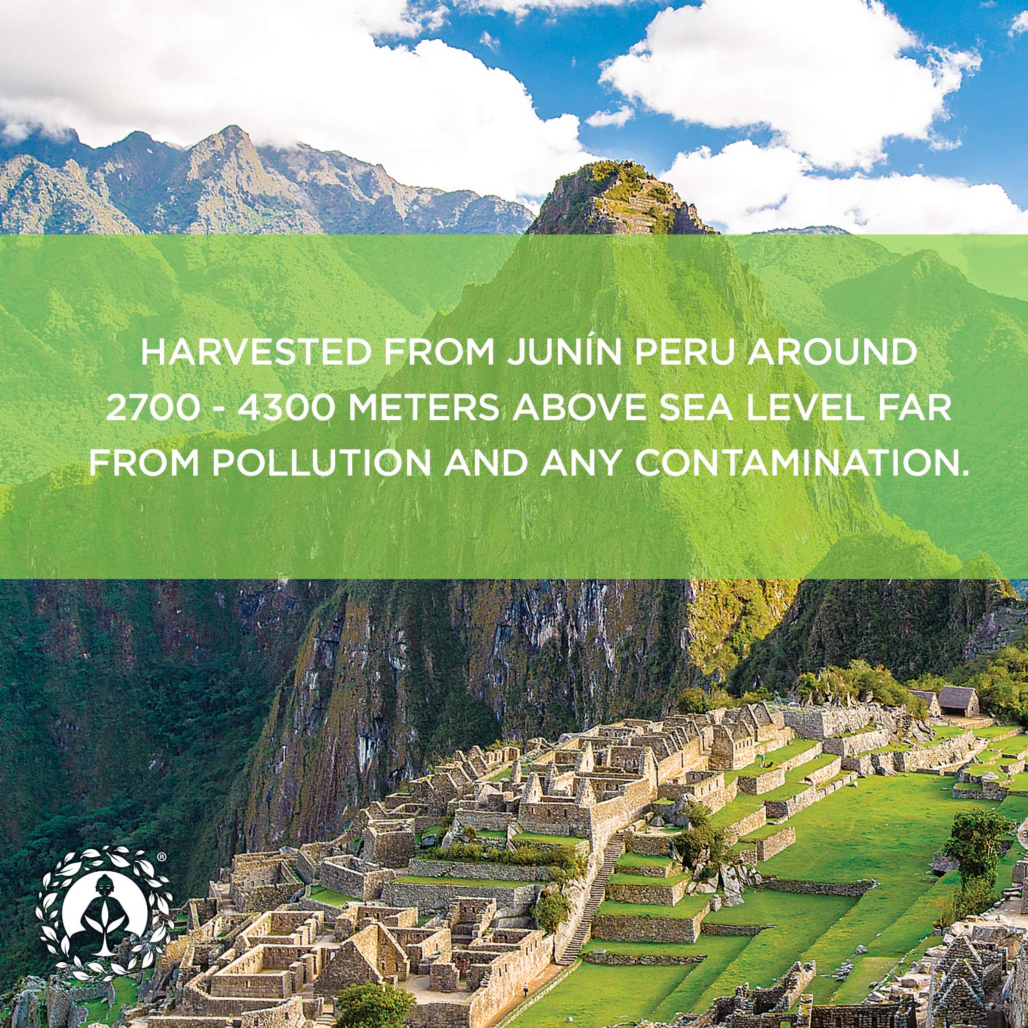 Zen Spirit Maca Root Powder Organic - Peruvian Root Premium Grade Superfood (Raw) - USDA & Vegan Certified - 1 Bag (8oz) - Perfect for Breakfast, Smoothies, Baking & Ice Cream. - Medaid International