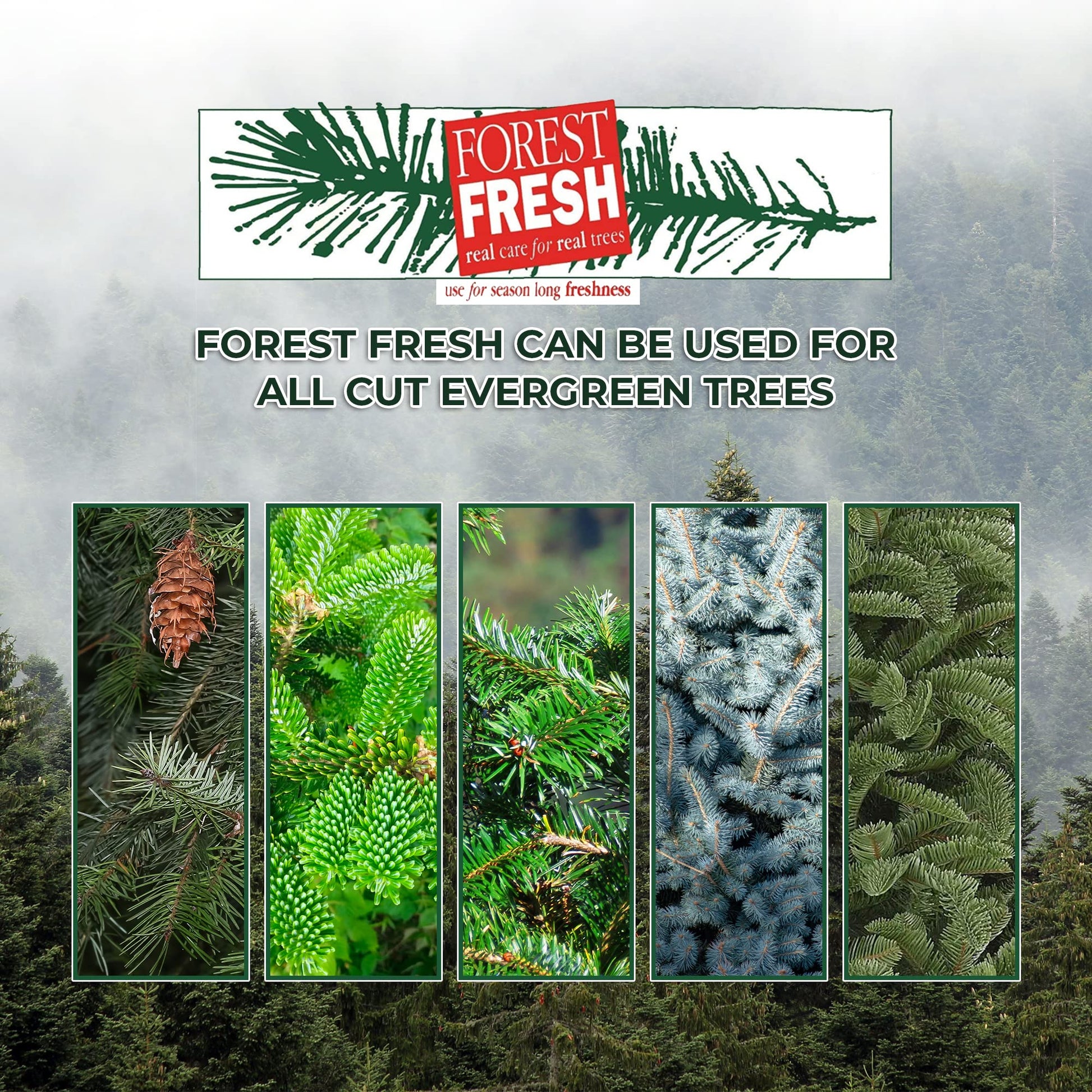 Forest Fresh Christmas Tree Preservative Tablets – Tree Water Additive for Live Fresh-Cut Trees – Keeps Trees Hydrated and Reduces Needle Drop – Non-Toxic, Made in USA – 1 Packet (8 Tablets) - Medaid International