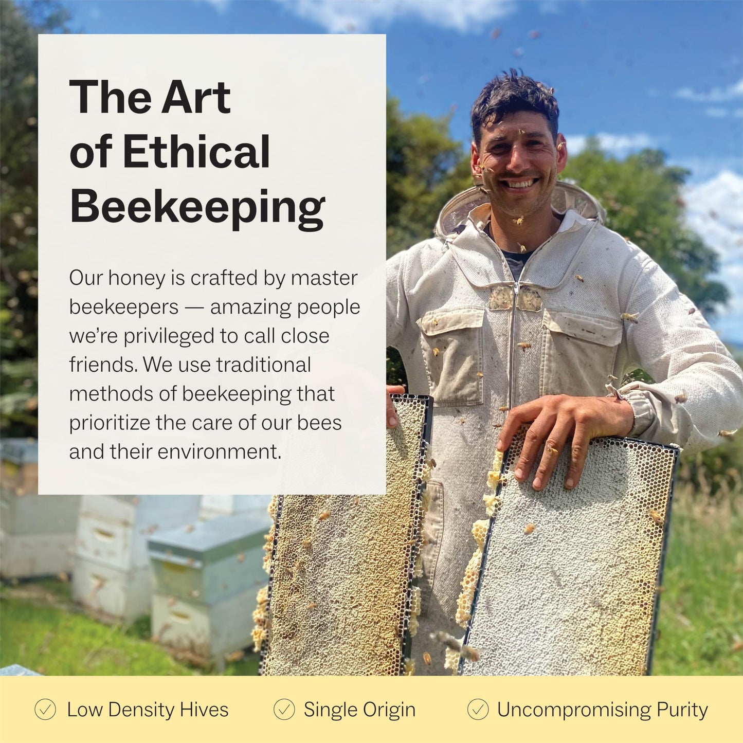 Manukora UMF 20+/MGO 850+ Raw Manuka Honey - Authentic Non-GMO New Zealand Honey, UMF & MGO Certified, Traceable from Hive to Hand (0.25 Oz Stick Packets (Pack of 50)) - Medaid International