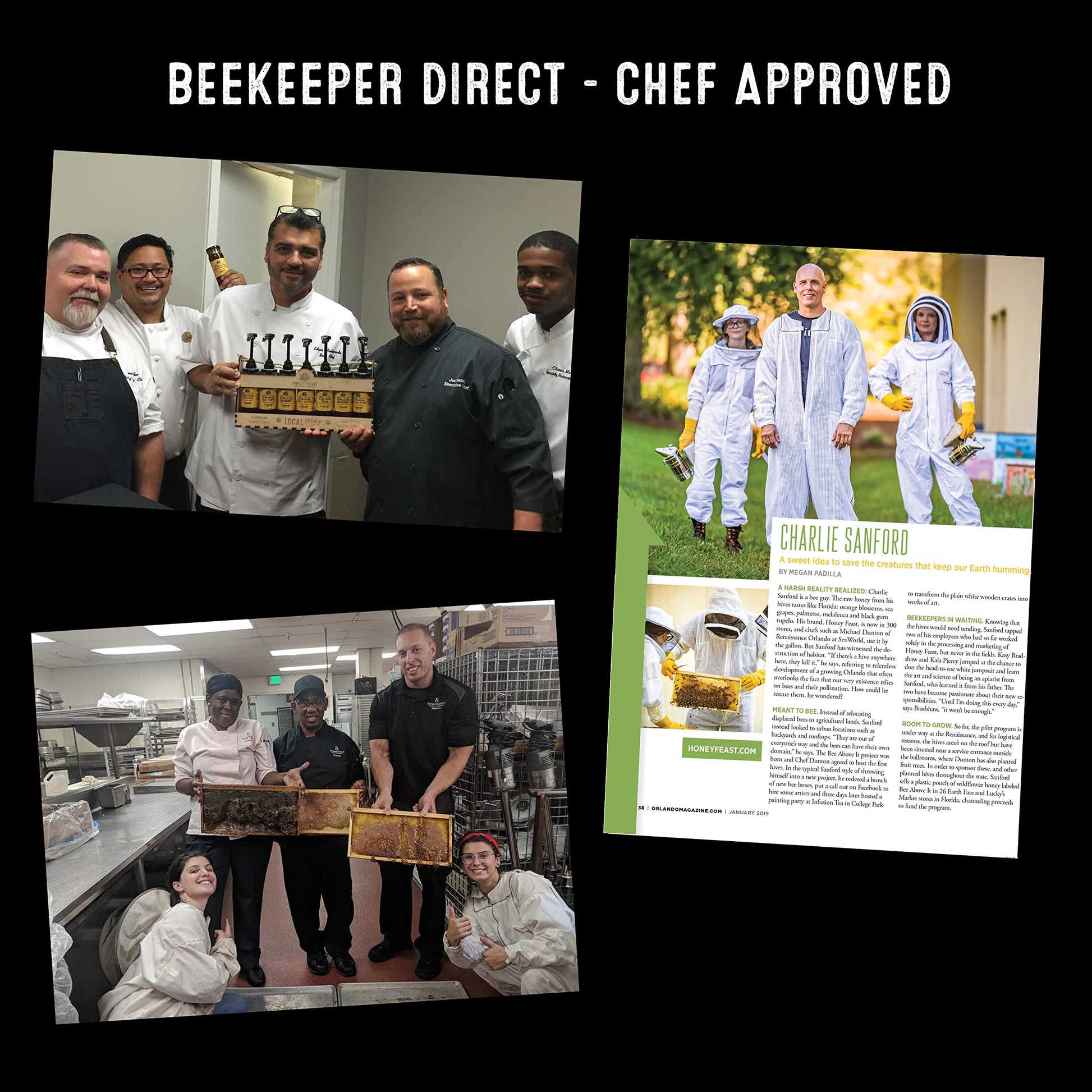 HONEY FEAST Manuka and Propolis Infused Honey | New Zealand Manuka infused Honey Blend with Propolis | Bulk Honey | MGO182 | Patent Pending Formula | 3lb Jar - Medaid International