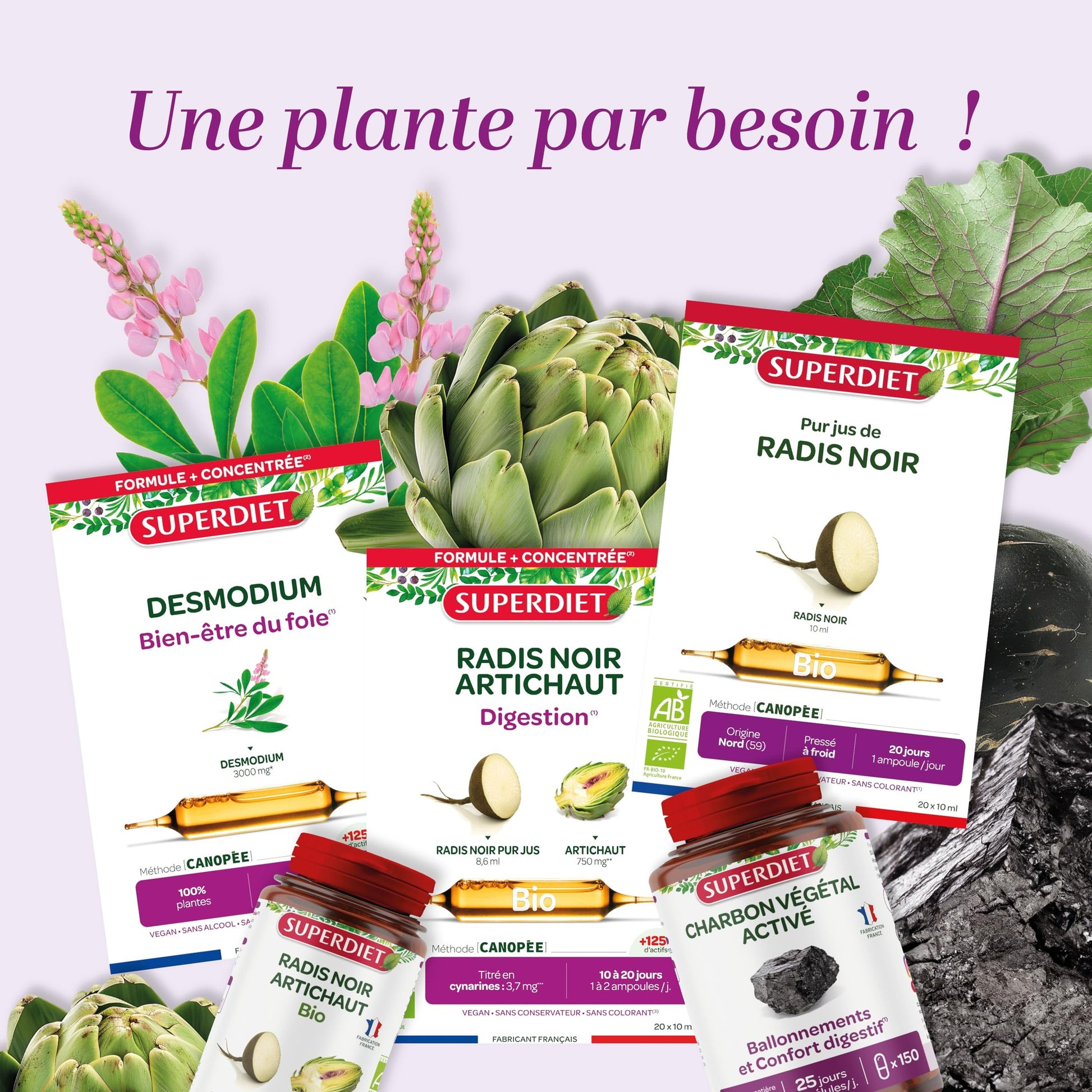 SUPERDIET-QUATUOR DIGESTION BIO-Bien-être du foie -Radis Noir Artichaut Chardon Marie Romarin-Fabrication Française-20 Ampoules de 15ml - Medaid International