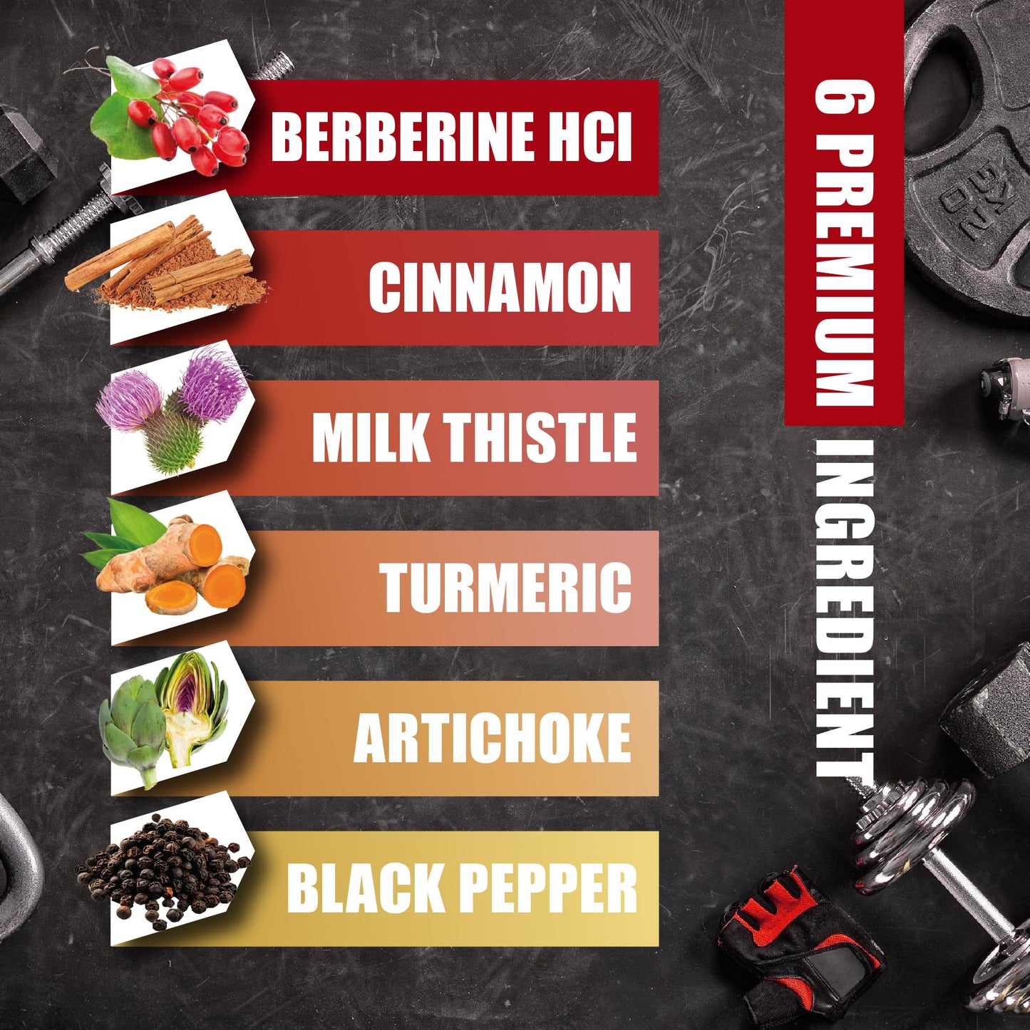 Berberine Supplement with Ceylon Cinnamon, Turmeric, Artichoke, Milk Thistle - Berberine HCl Supplement Pills - 60 Capsules [2-Month Supply] - Medaid International