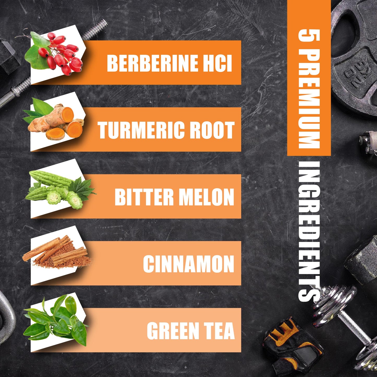 Berberine HCl Supplement, Ceylon Cinnamon and Turmeric Capsules, Green Tea and Bitter Melon Capsules - 120 Capsules for 2 Month Supply - Medaid International