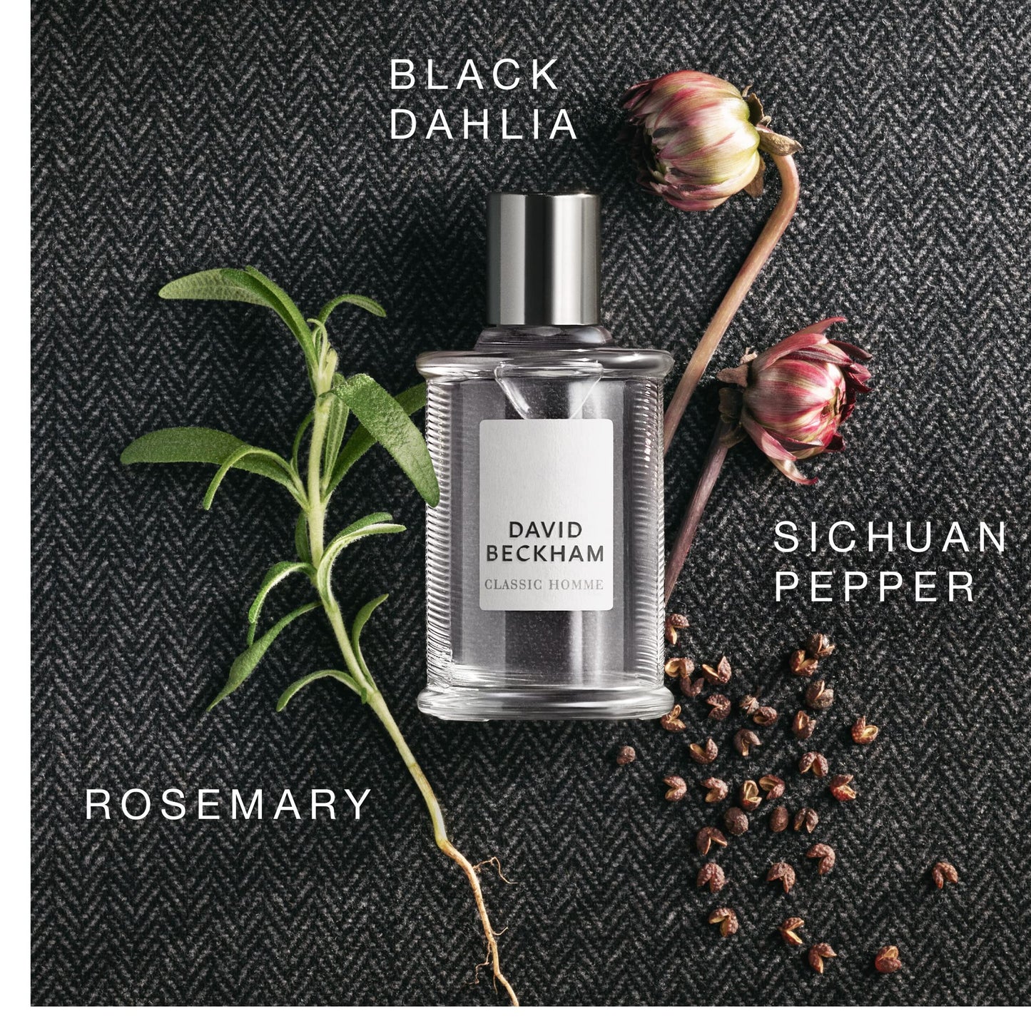 Classic Homme by David Beckham for Men - 3.3 oz EDT Spray - Medaid International