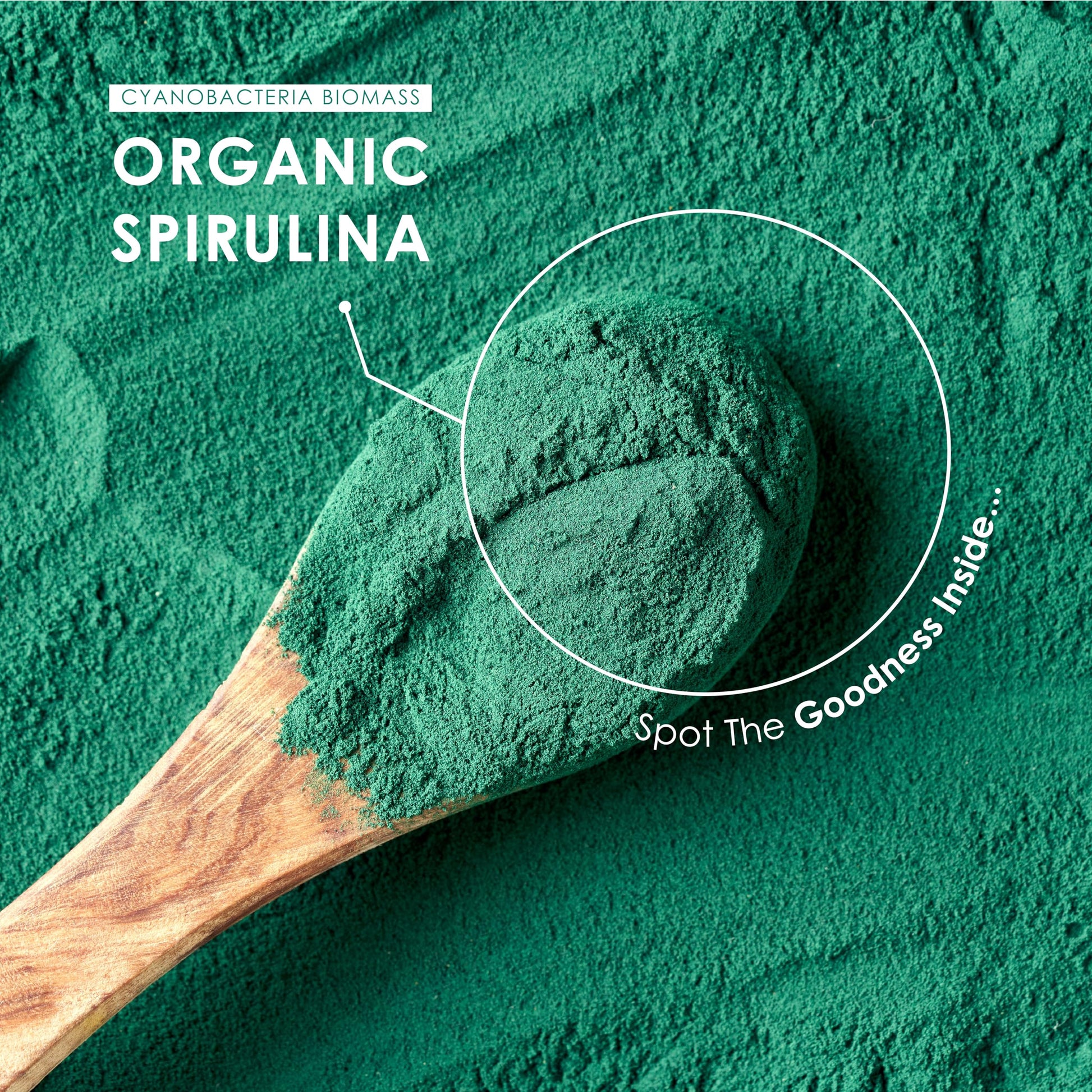 ALPHA01 Organic Spirulina Tablets – 1,000mg per Serving – Pure Formula with No Additives – Certified Organic, Non GMO, Gluten Free, Halal – 300 Vegan Tablets - Medaid International