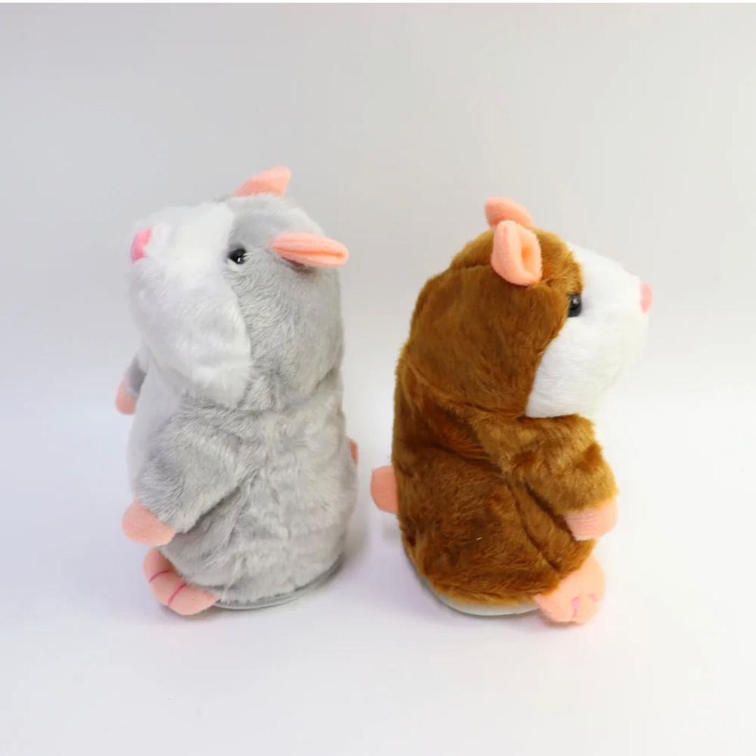 Talking Hamster - Medaid International