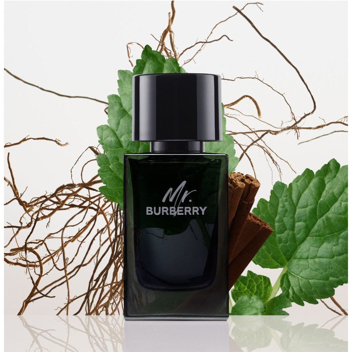 Burberry Mr Burberry Eau De Parfum for Men - Medaid