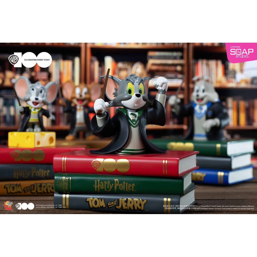 Harry Potter Slytherin Tom Statue WB100TH Figure By SOAP STUDIO - Medaid International