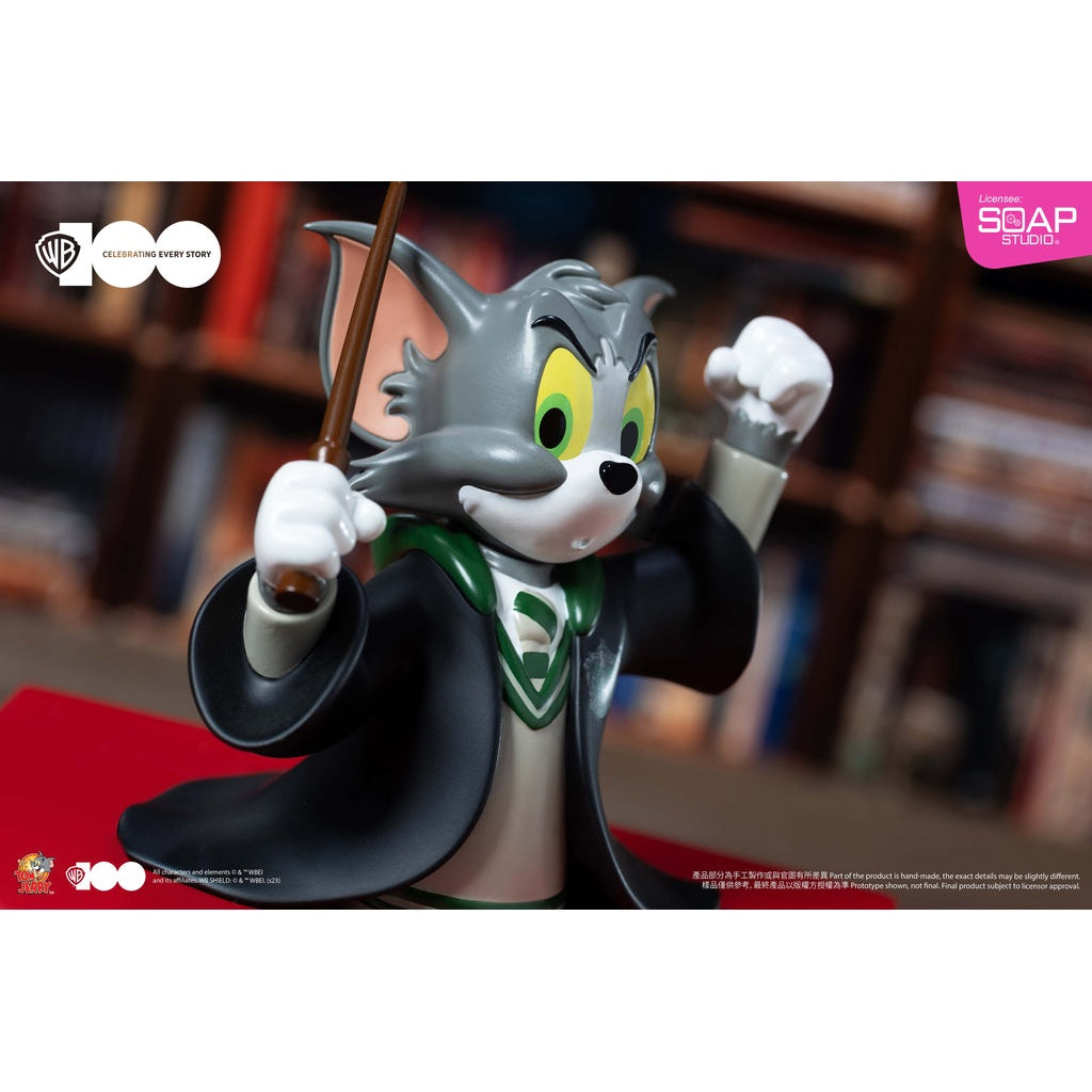 Harry Potter Slytherin Tom Statue WB100TH Figure By SOAP STUDIO - Medaid International