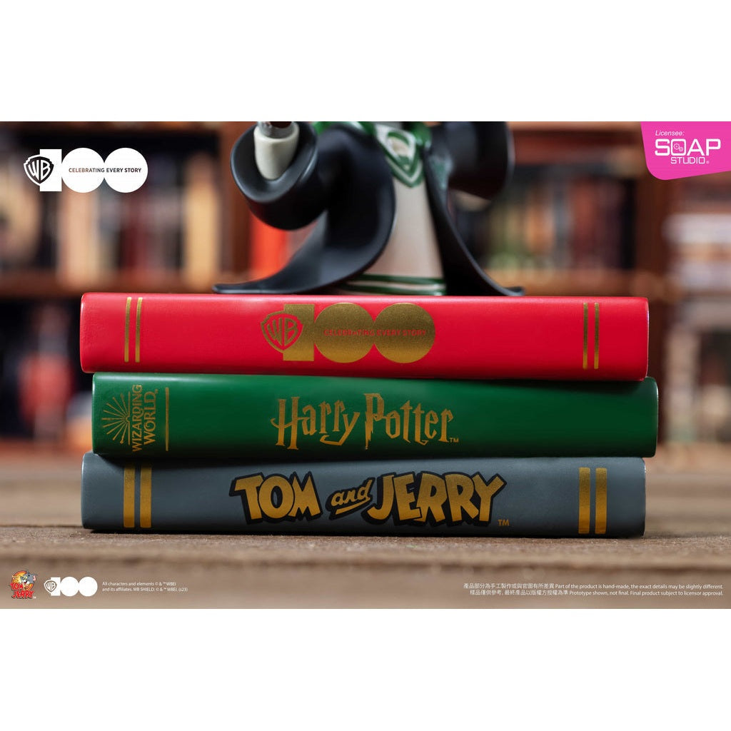 Harry Potter Slytherin Tom Statue WB100TH Figure By SOAP STUDIO - Medaid International