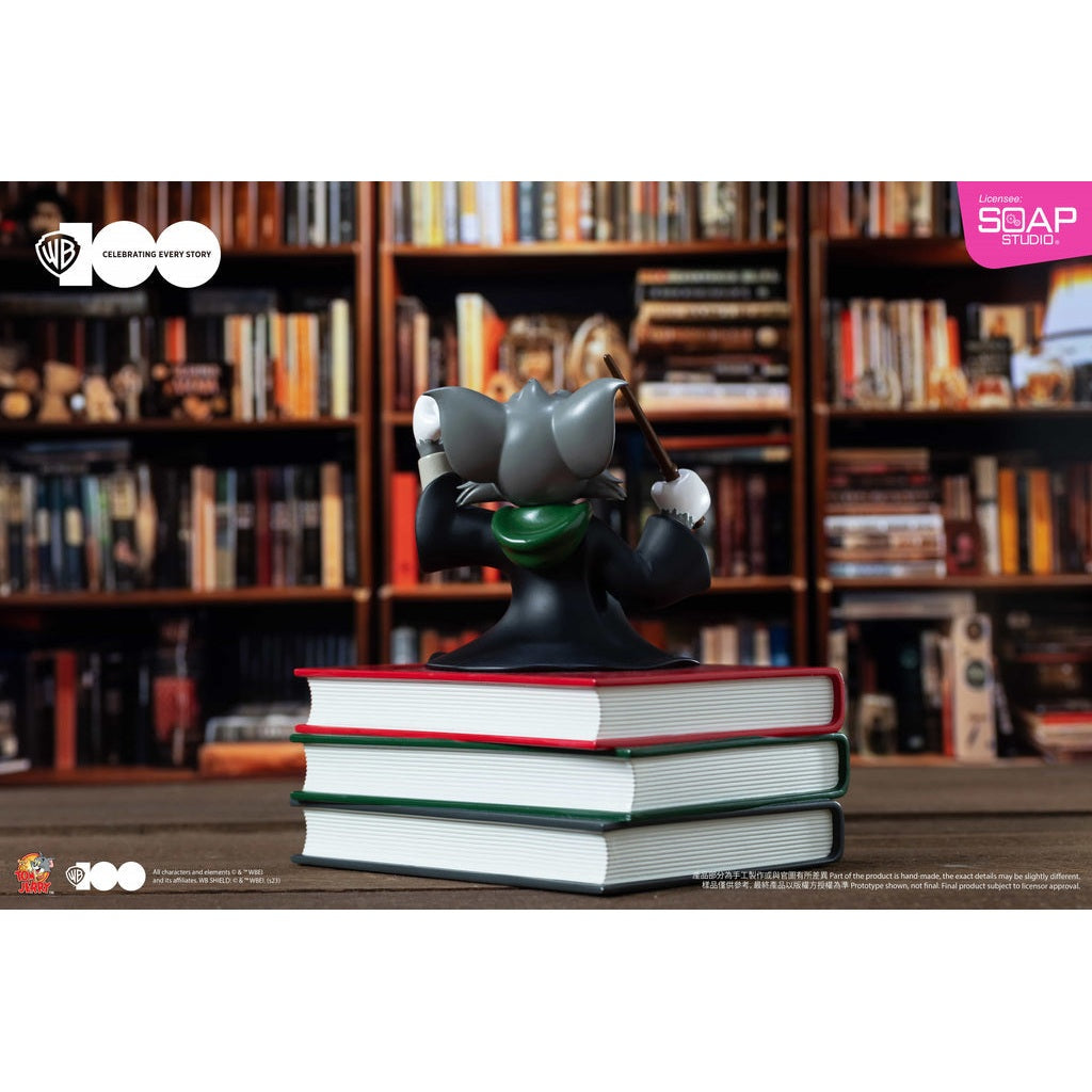 Harry Potter Slytherin Tom Statue WB100TH Figure By SOAP STUDIO - Medaid International