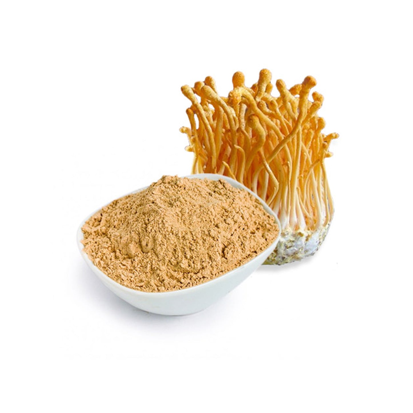 HERBATY ORGANIC CORDYCEPS MUSHROOM POWDER - Medaid International