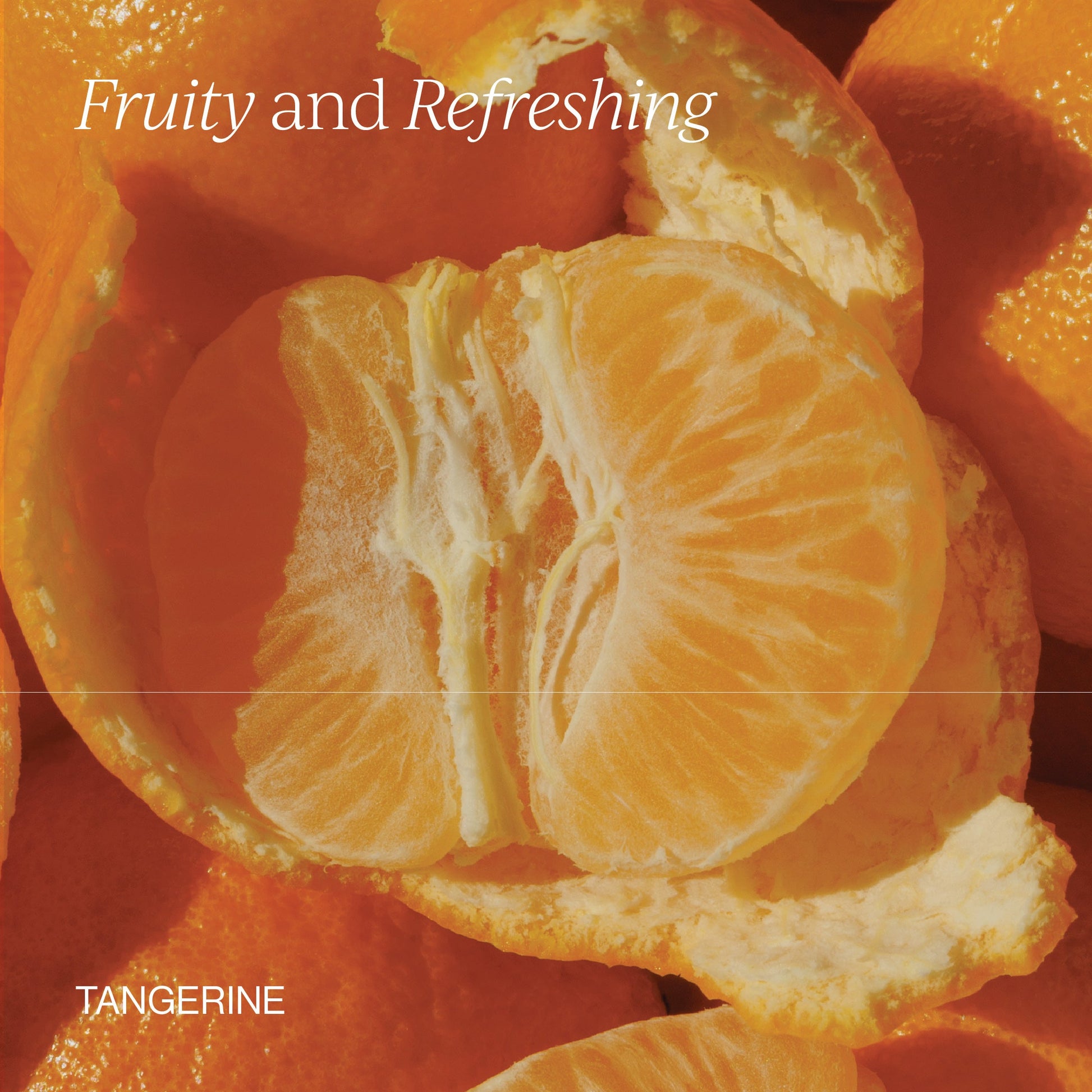 Liposomal Vitamin D3 + K2 + CoQ10 - Medaid International