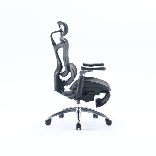 Sihoo Doro-C300 pro - High Back Premium Ergonomic Chair with Adjustable Headrest & Lumbar – Black