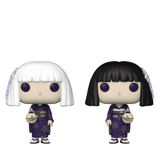 Funko Pop! Animation: Demon Slayer -Final Selection Guide 2pk (GW)(Exc) - Medaid International