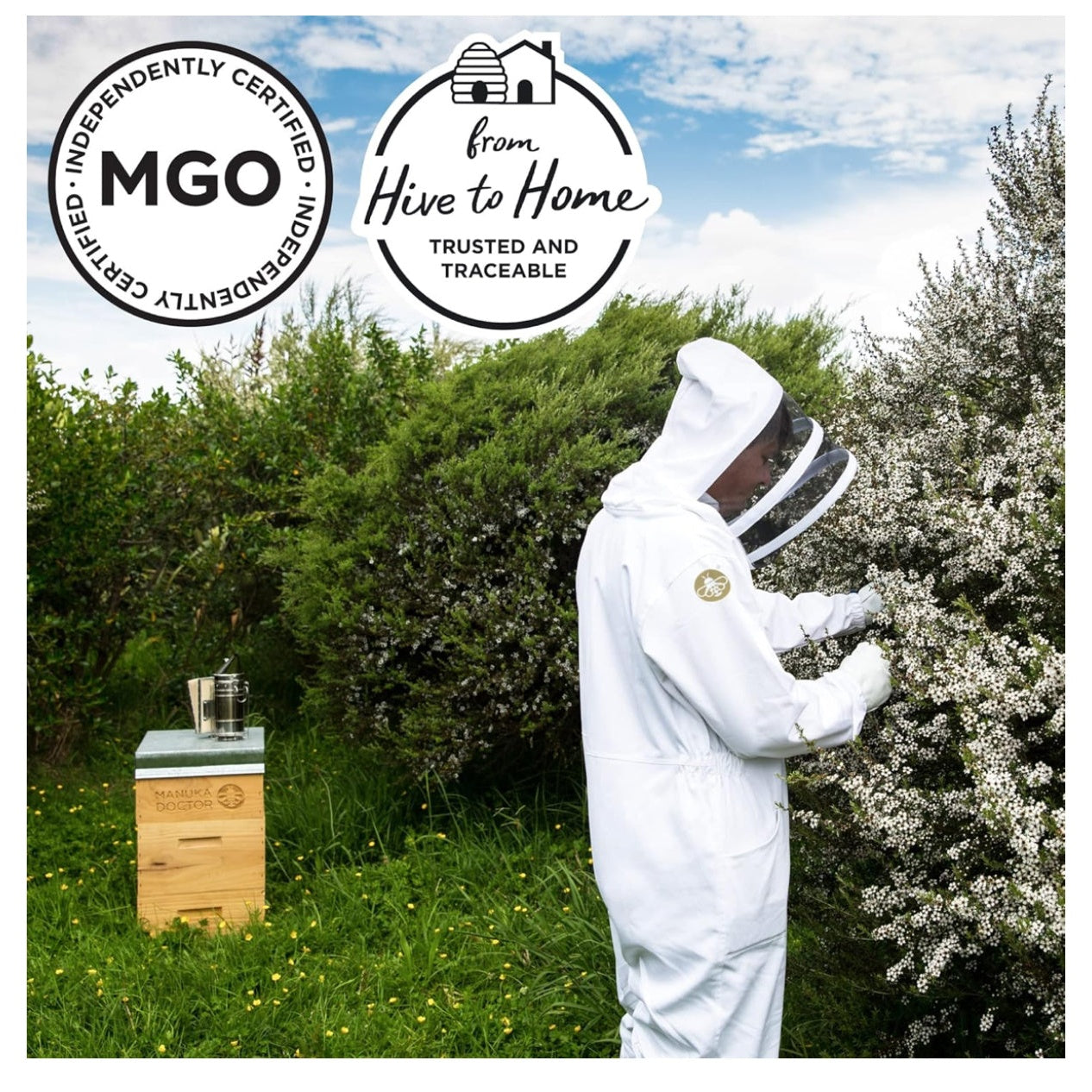 MANUKA DOCTOR - MGO 925+ Manuka Honey Monofloral, 100% Pure New Zealand Honey. Certified. Guaranteed. RAW. Non-GMO (8.75 oz) - Medaid