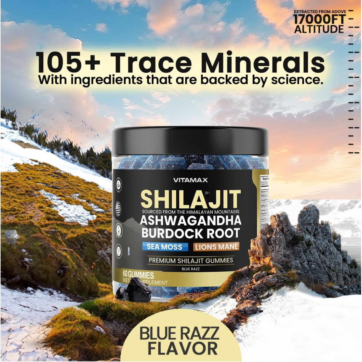 Organic Shilajit Gummies, Sea Moss, Ashwagandha, 105+ Trace Minerals – Organic Burdock Root & Lions Mane Mushroom - Blue Razz – Vegan & Non-GMO – Made in USA – 60ct - Medaid