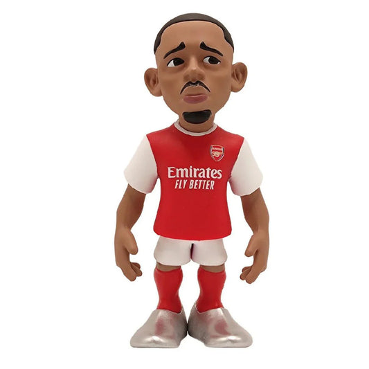 Gabriel Jesus - Medaid International