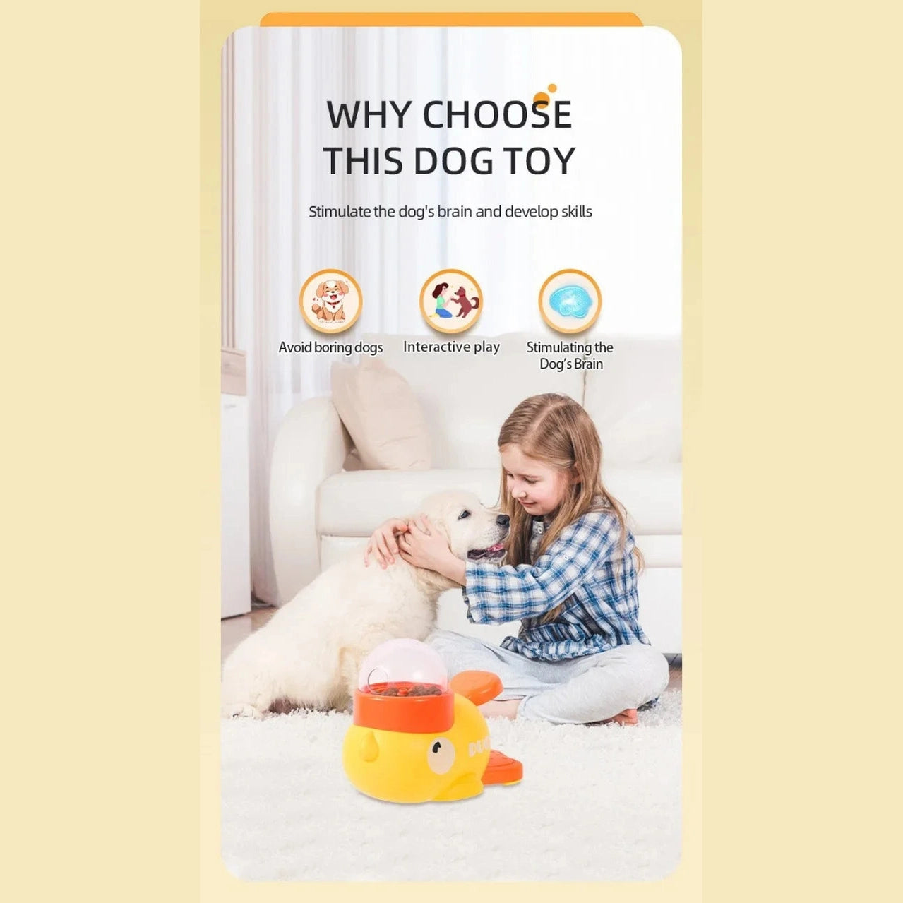 Pet Feeder - Medaid International