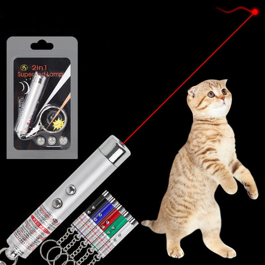 2-in-1 laser pointer and LED flashlight for cats