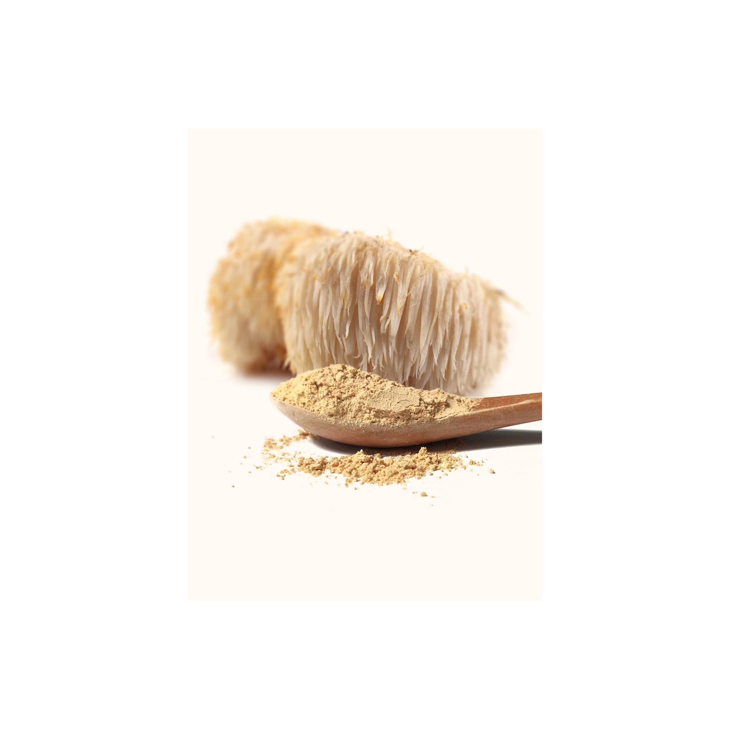 HERBATY MUSHROOM POWDER - LION'S MANE - Medaid International