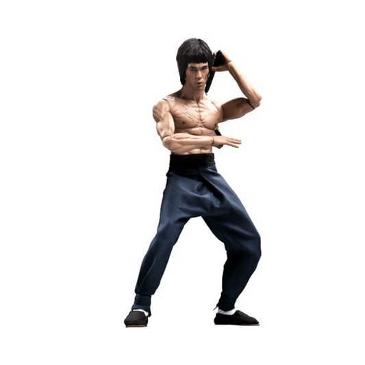 BRUCE LEE DX04  1/6 Scale Action Figure By Hot Toys - Medaid International