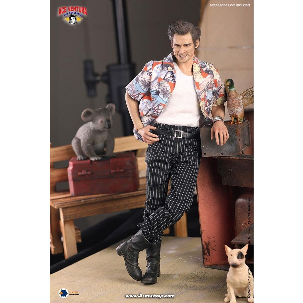 Ace Ventura: Pet Detective Ace Ventura 1/6 Scale Action Figure By ASMUS TOYS - Medaid International