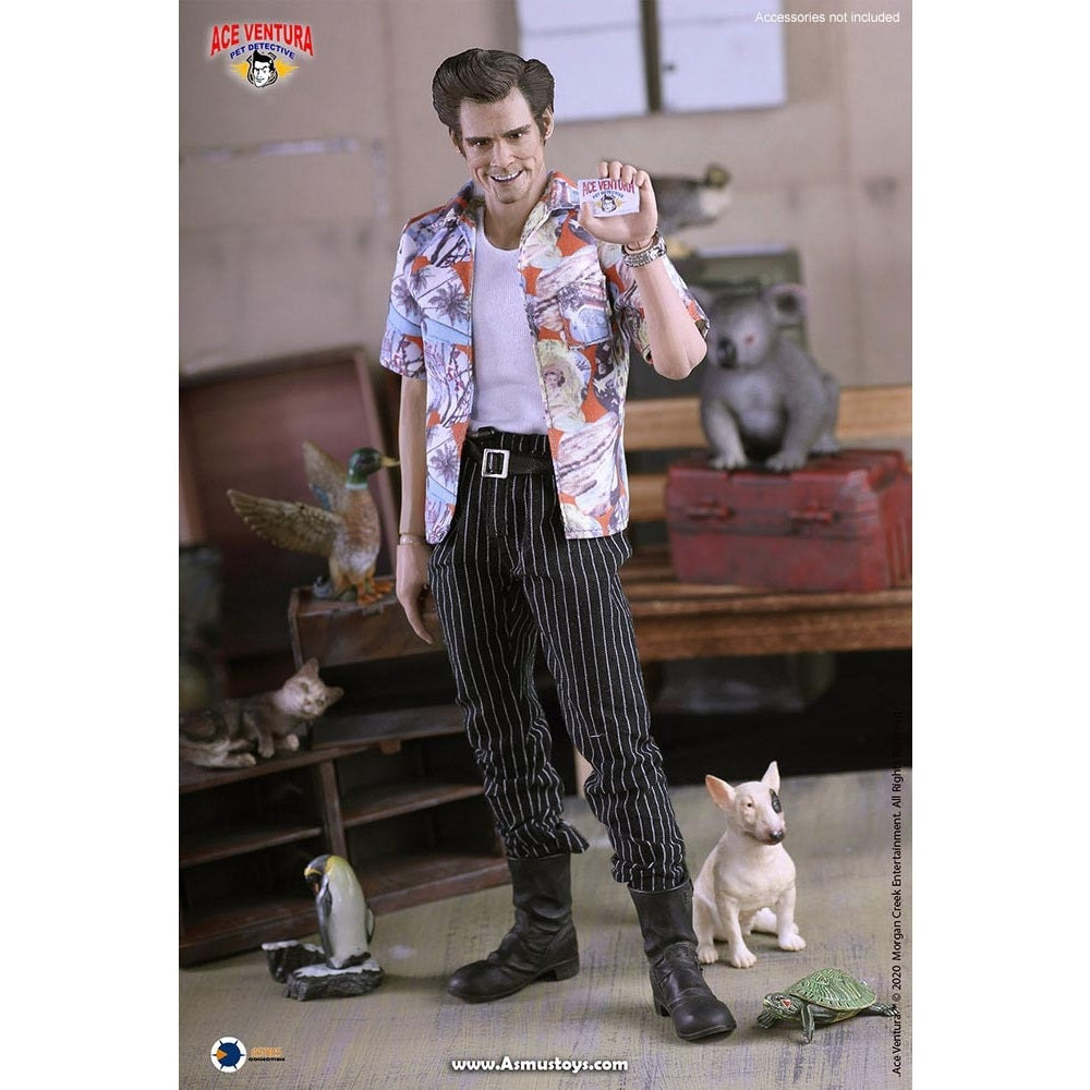 Ace Ventura: Pet Detective Ace Ventura 1/6 Scale Action Figure By ASMUS TOYS - Medaid International