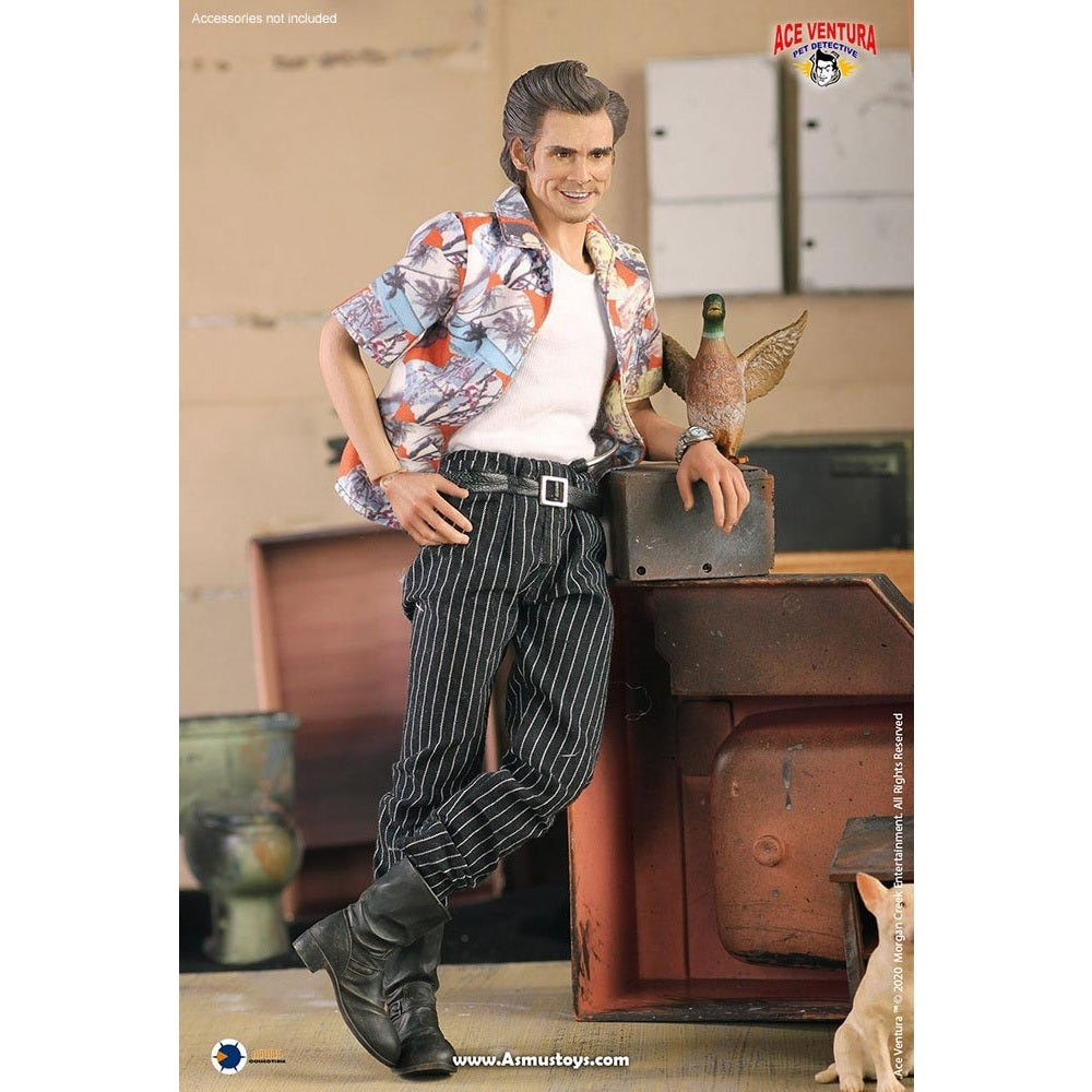Ace Ventura: Pet Detective Ace Ventura 1/6 Scale Action Figure By ASMUS TOYS - Medaid International
