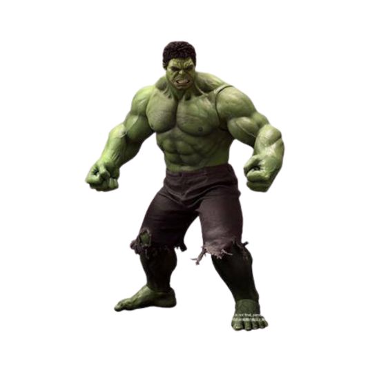 Marvel Avengers Hulk 1/6 Scale By Hot Toys - Medaid International