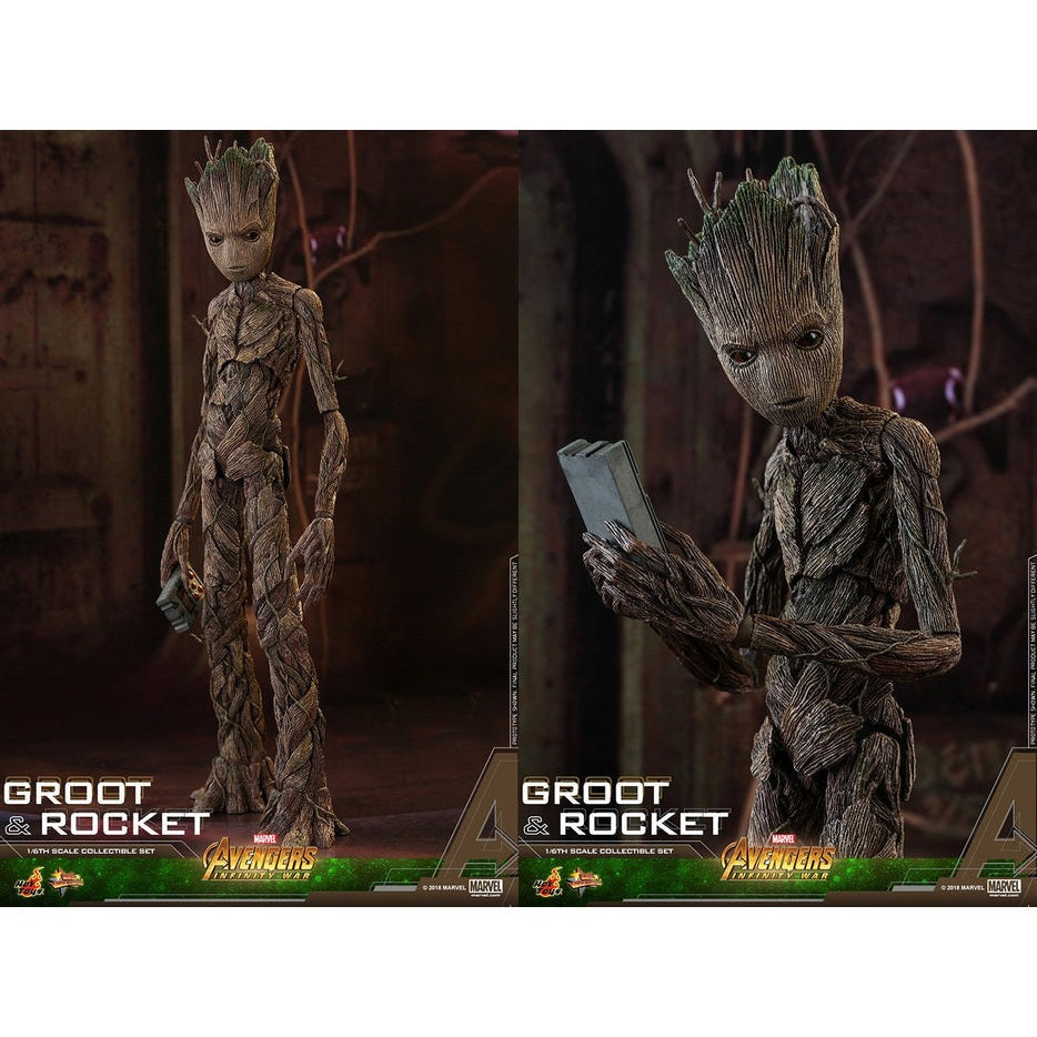 Movie Masterpiece Groot & Rocket 1/6 Scale Action Figure By Hot Toys - Medaid International