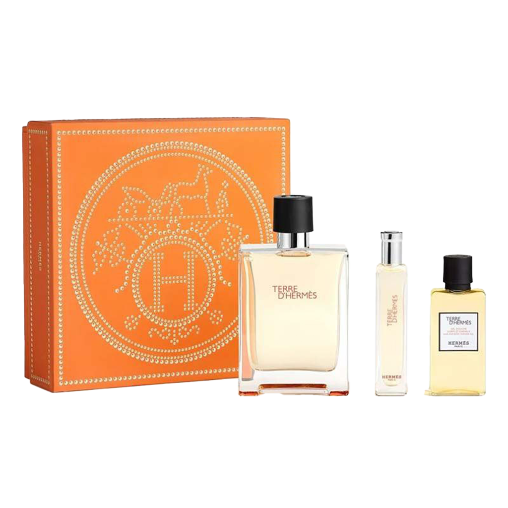 Hermes Terre D'Hermes Men's Gift Set - 2 Versions - Medaid