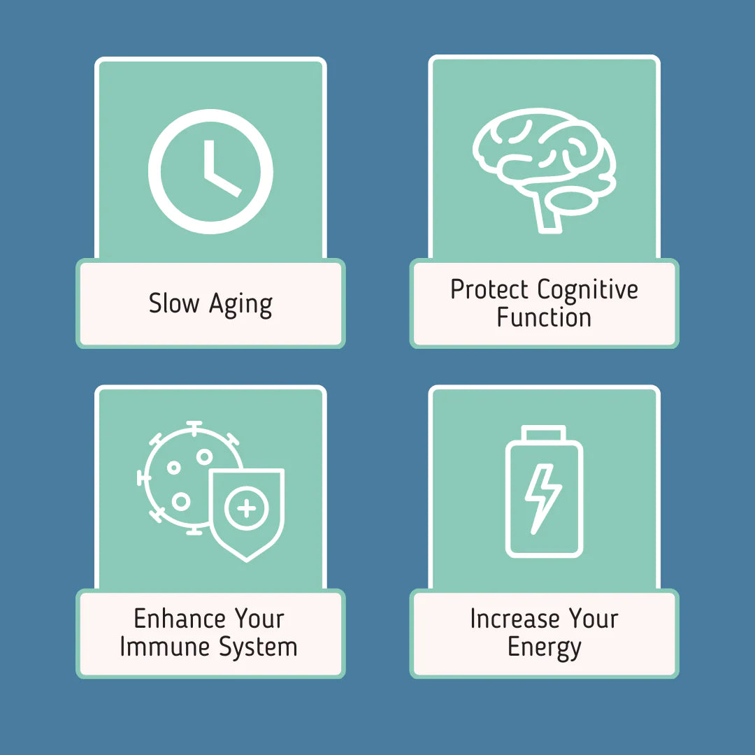 NAD+ LIPOSOMAL ANTI AGING SUPPLEMENT COMPLEX AEON WITH NICOTINAMIDE DUO™ - Chronotage - Medaid International